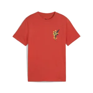 PUMA Big Kids' ROAD TO UNITY Tee