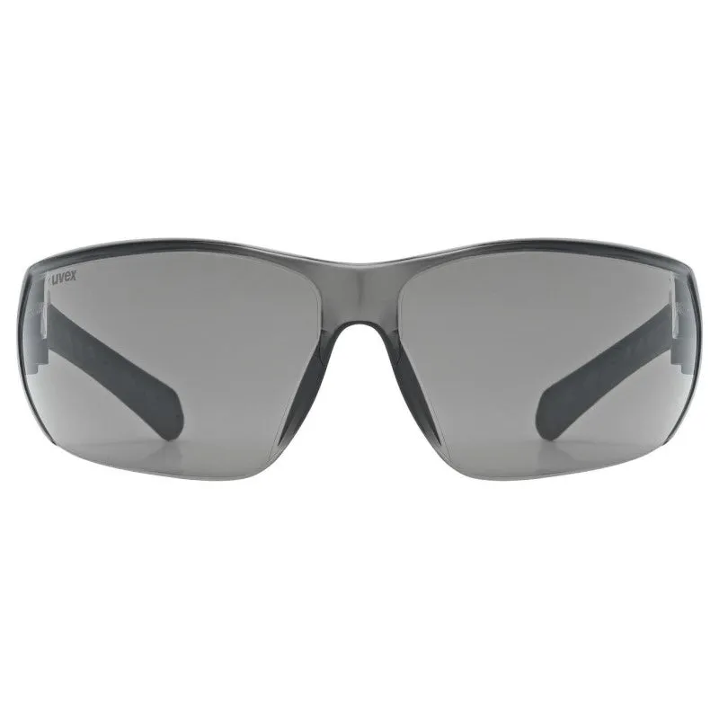 Uvex Equate goggles - Black matt