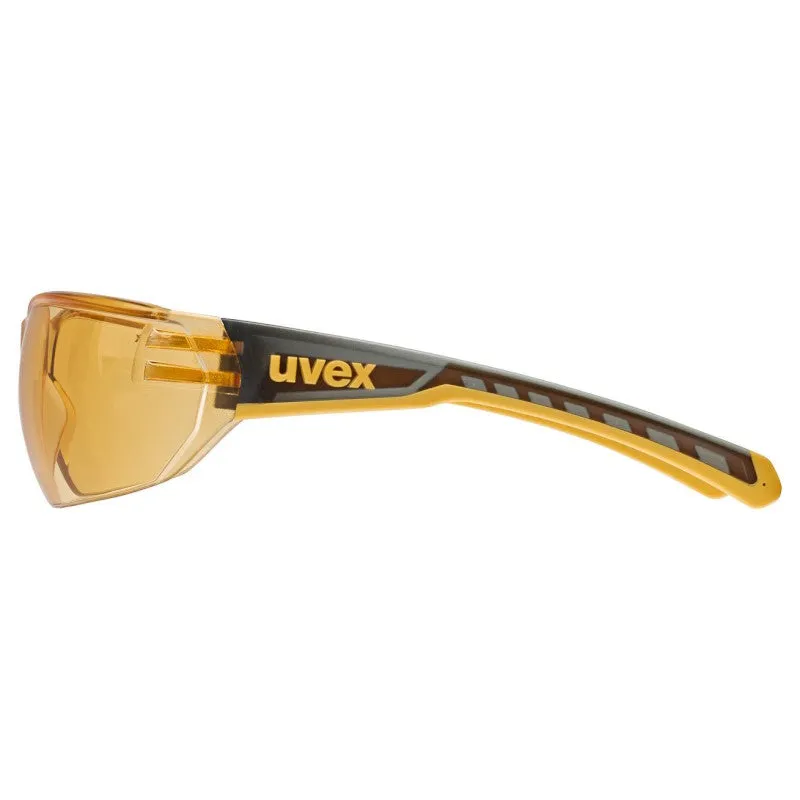 Uvex Equate goggles - Smoke orange