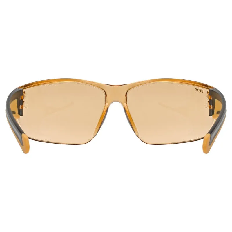 Uvex Equate goggles - Smoke orange