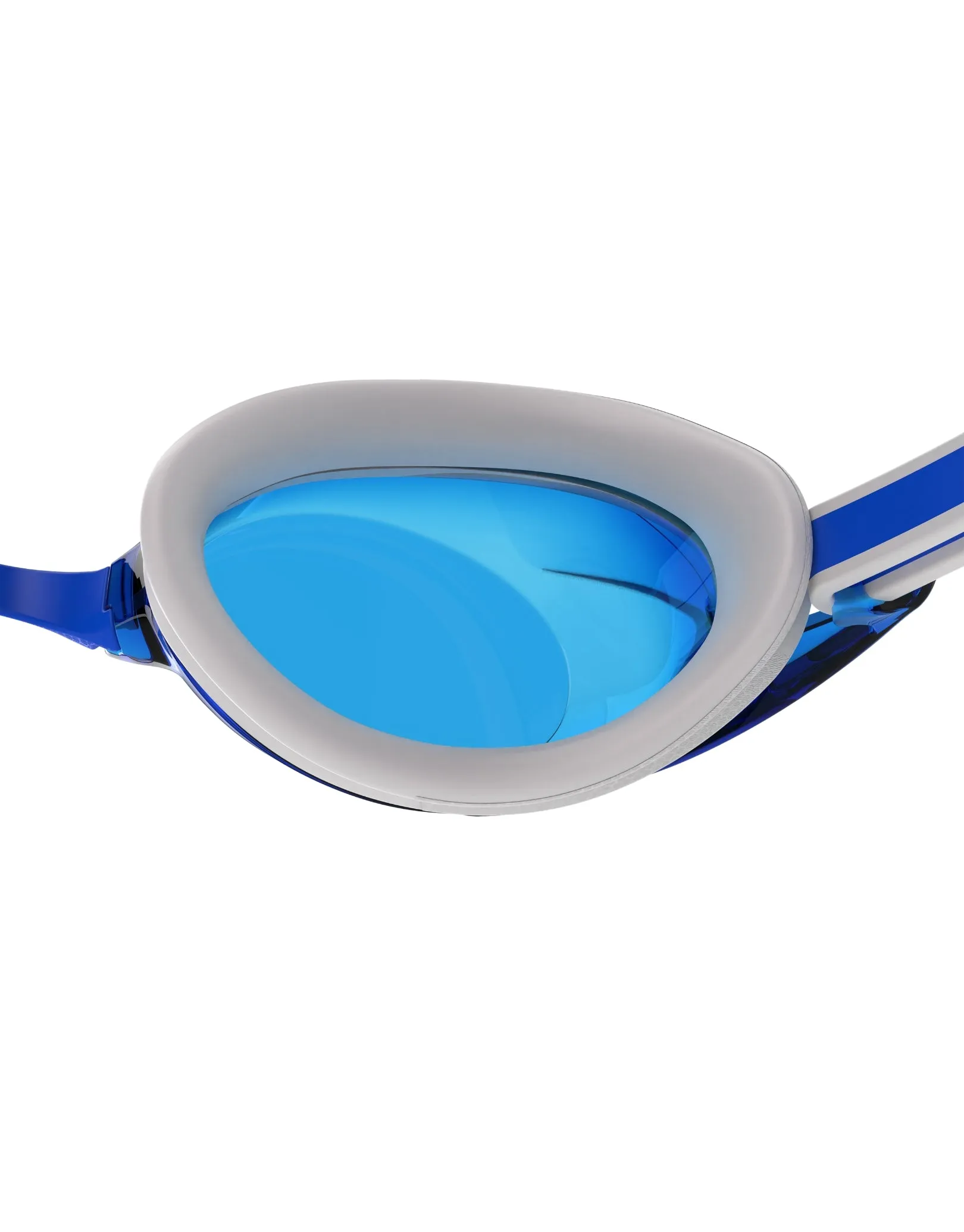 Vanquisher 3.0 Swim Goggle