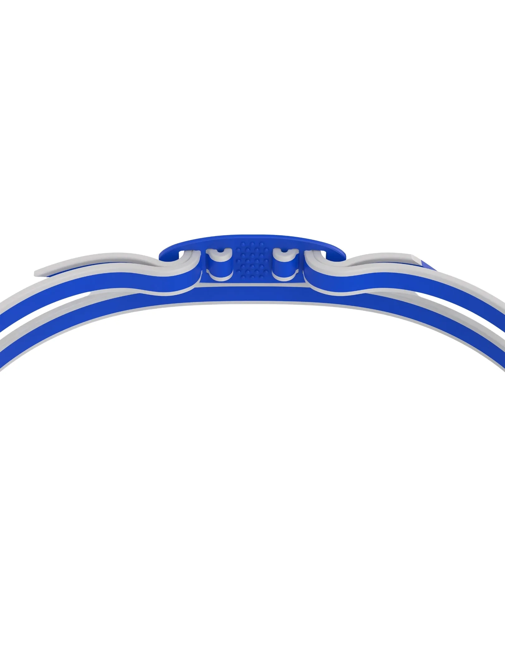 Vanquisher 3.0 Swim Goggle